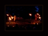 Les Feux Follets