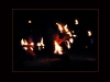 Les Feux Follets